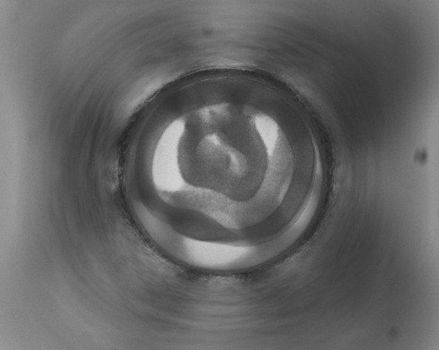 X0000112861306200909181751