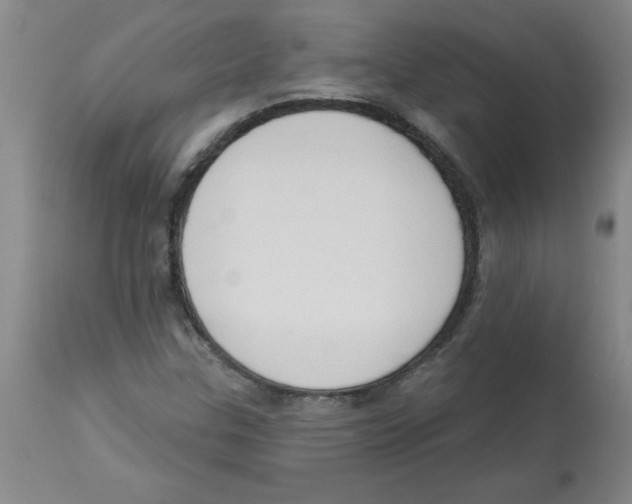 X0000112861307200909181751