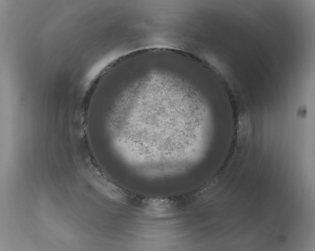 X0000112861310200909181751