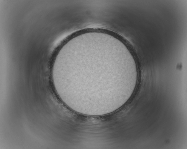 X0000112861311200909181751