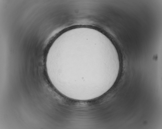 X0000112861315200909181751