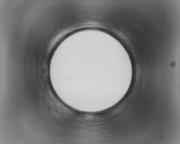 X0000112861318200909181751