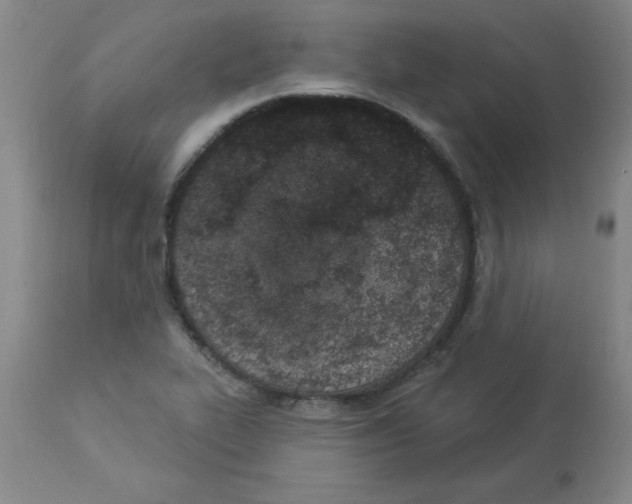 X0000112861319200909181751