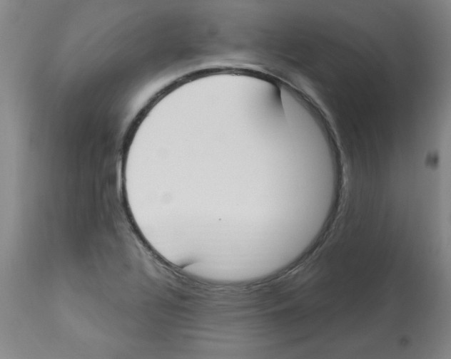 X0000112861320200909181751