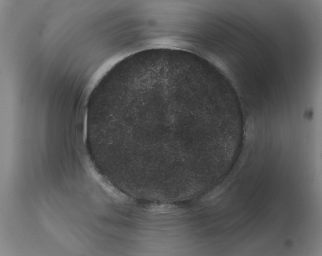 X0000112861323200909181751