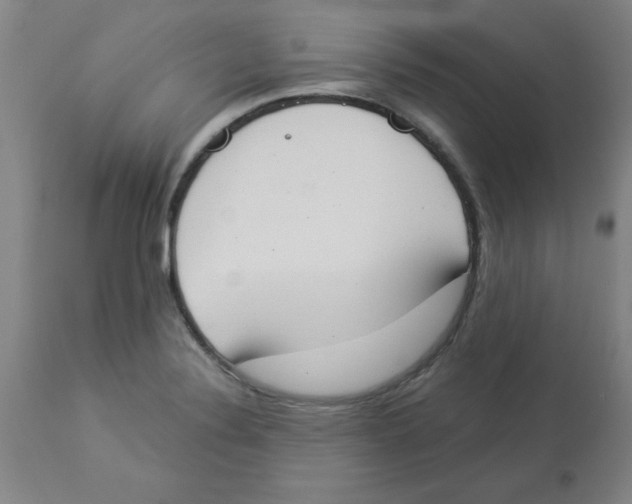 X0000112861324200909181751