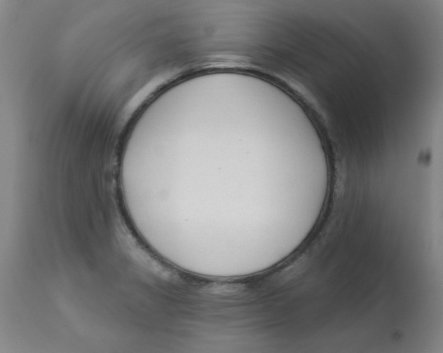 X0000112861325200909181751