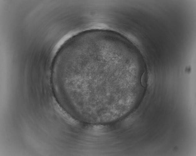 X0000112861326200909181751