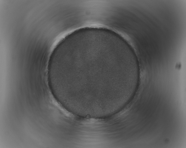 X0000112861327200909181751