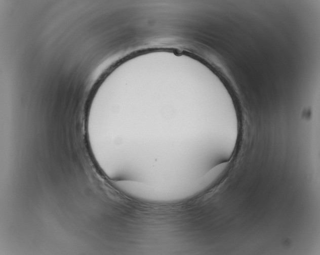 X0000112861328200909181751