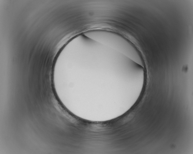 X0000112861330200909181751