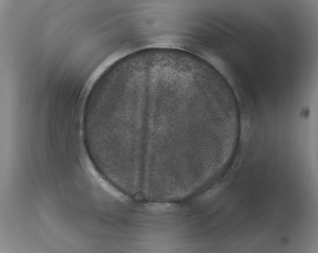 X0000112861331200909181751