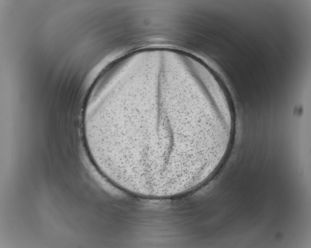 X0000112861333200909181751