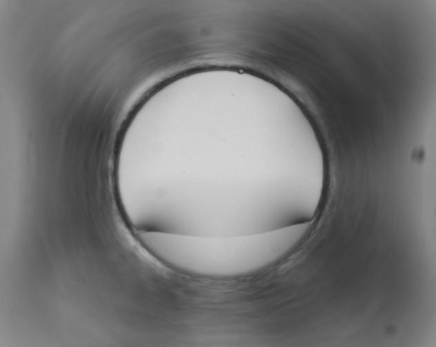 X0000112861334200909181751