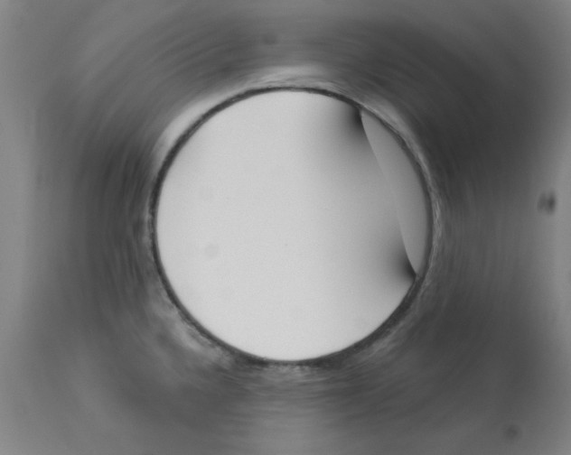 X0000112861336200909181751