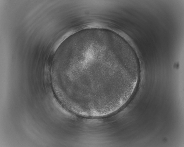 X0000112861337200909181751