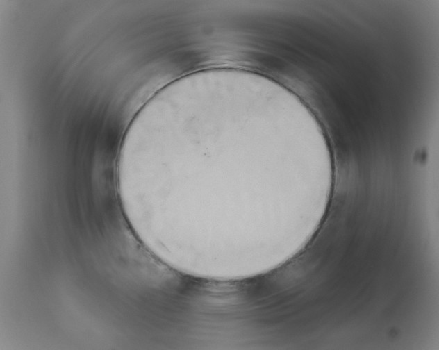 X0000112861338200909181751