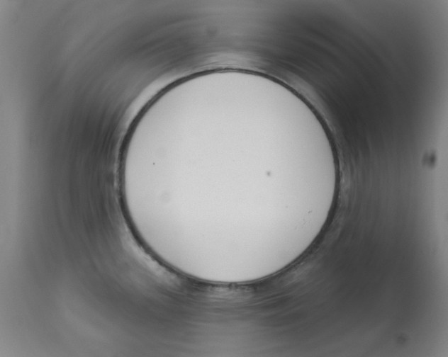 X0000112861339200909181751