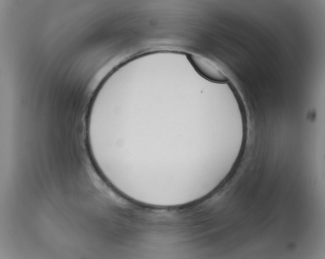 X0000112861341200909181751