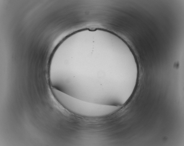 X0000112861342200909181751