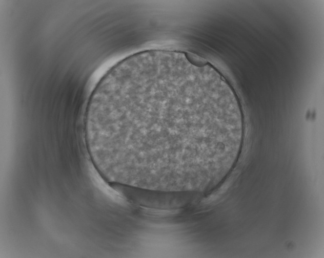 X0000112861344200909181751