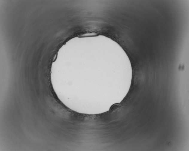 X0000112861345200909181751