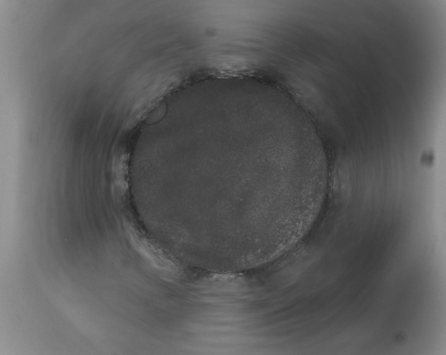 X0000112861346200909181751