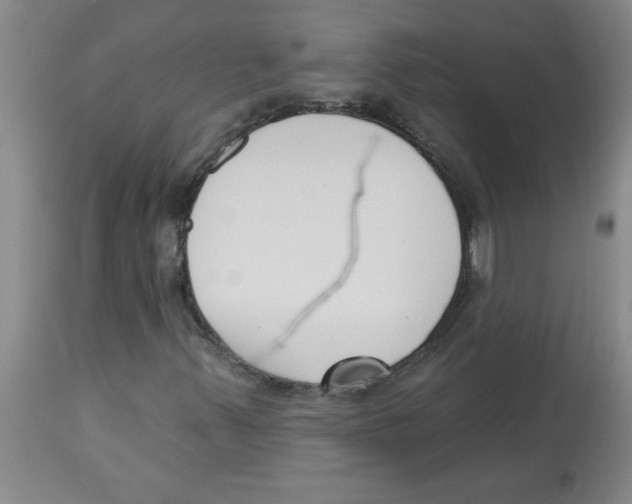 X0000112861347200909181751