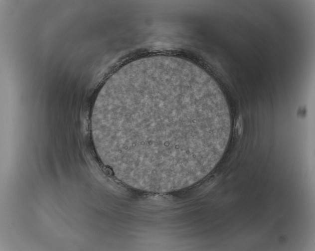 X0000112861348200909181751