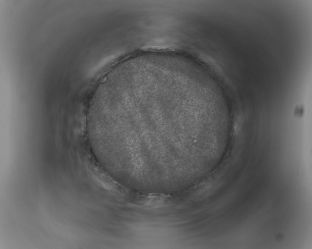 X0000112861350200909181750