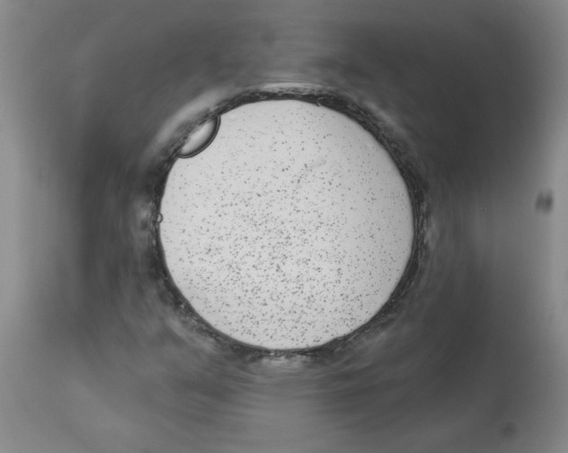 X0000112861351200909181750