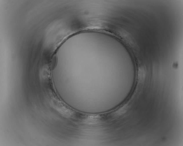 X0000112861353200909181750