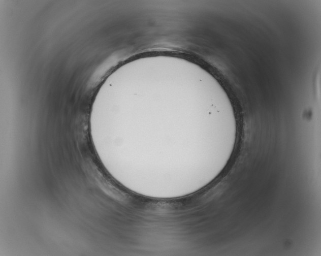 X0000112861355200909181750