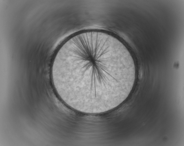 X0000112861356200909181750