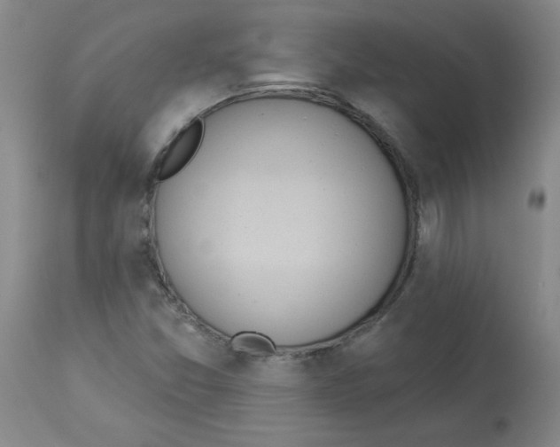 X0000112861357200909181750