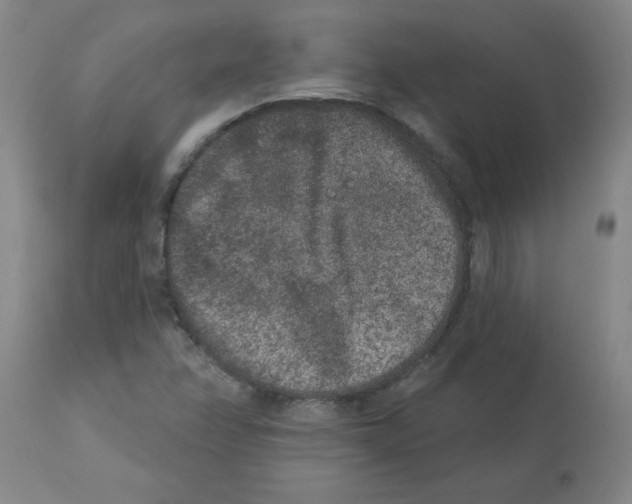 X0000112861358200909181750