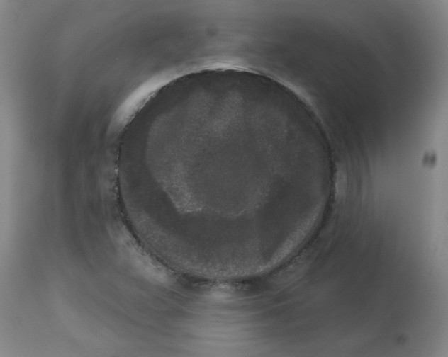 X0000112861359200909181750