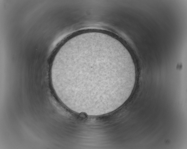 X0000112861360200909181750