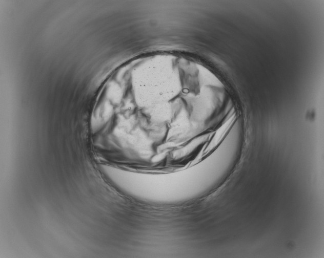 X0000112861361200909181750