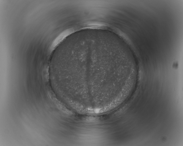 X0000112861362200909181750