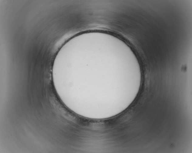 X0000112861363200909181750