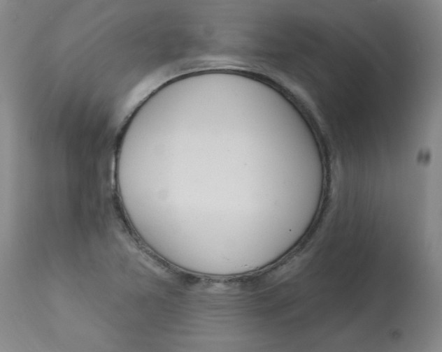 X0000112861365200909181750