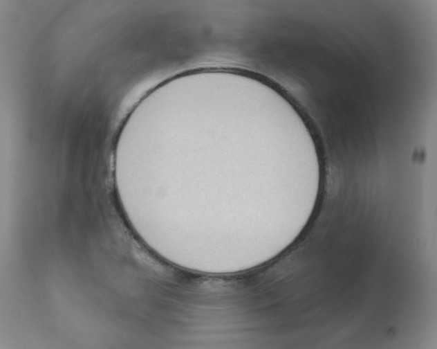 X0000112861366200909181750