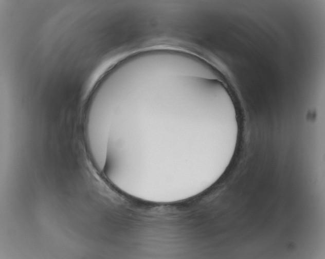 X0000112861368200909181750