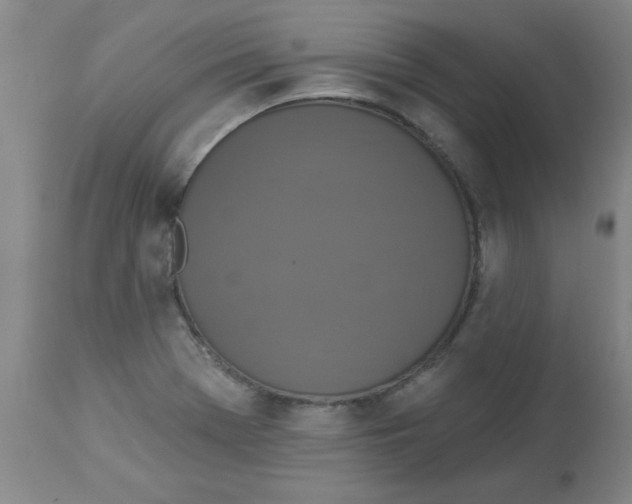 X0000112861369200909181750