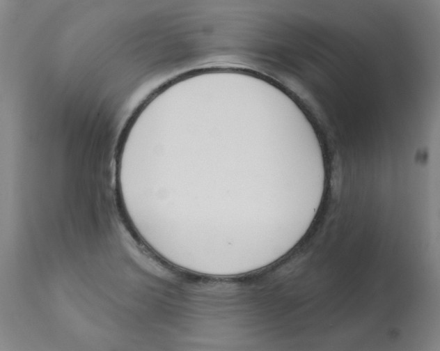 X0000112861372200909181750