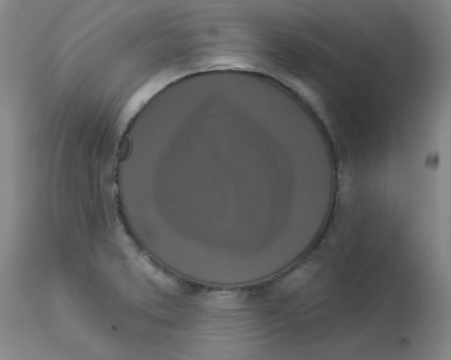 X0000112861373200909181750