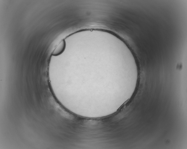 X0000112861374200909181750