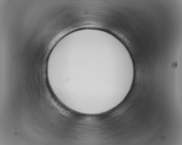 X0000112861375200909181750