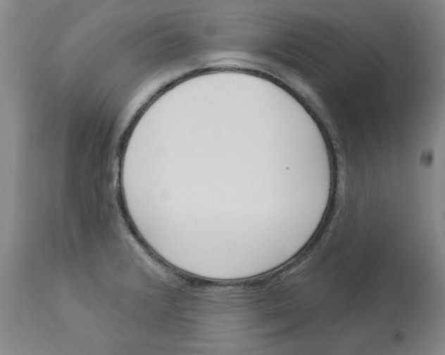 X0000112861376200909181750